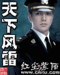 《天下风雷》