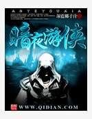 《暗夜游侠》