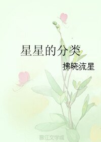 《星星的分类》