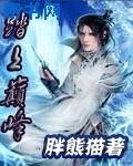 《踏上巅峰》