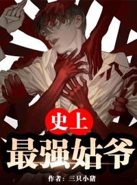 《史上最强姑爷》