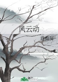 《风云动》