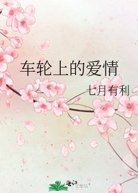 《车轮上的爱情》