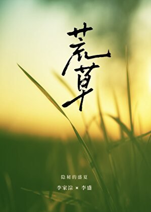 《荒草》