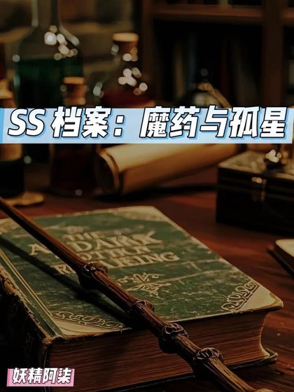 SS档案：魔药与孤星