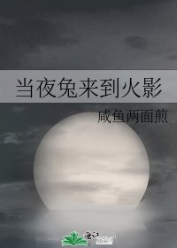 《當夜兔來到火影》