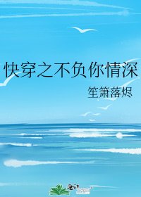 《林穿之不负你情缠》
