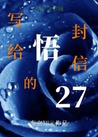 《写给悟的27封信》