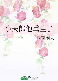小夫郎他重生了