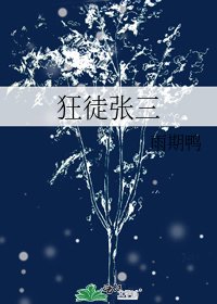 《狂徒张三》